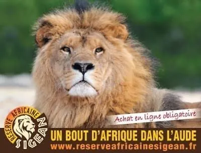 Le Limouzy - Proche Des Halles Daire *